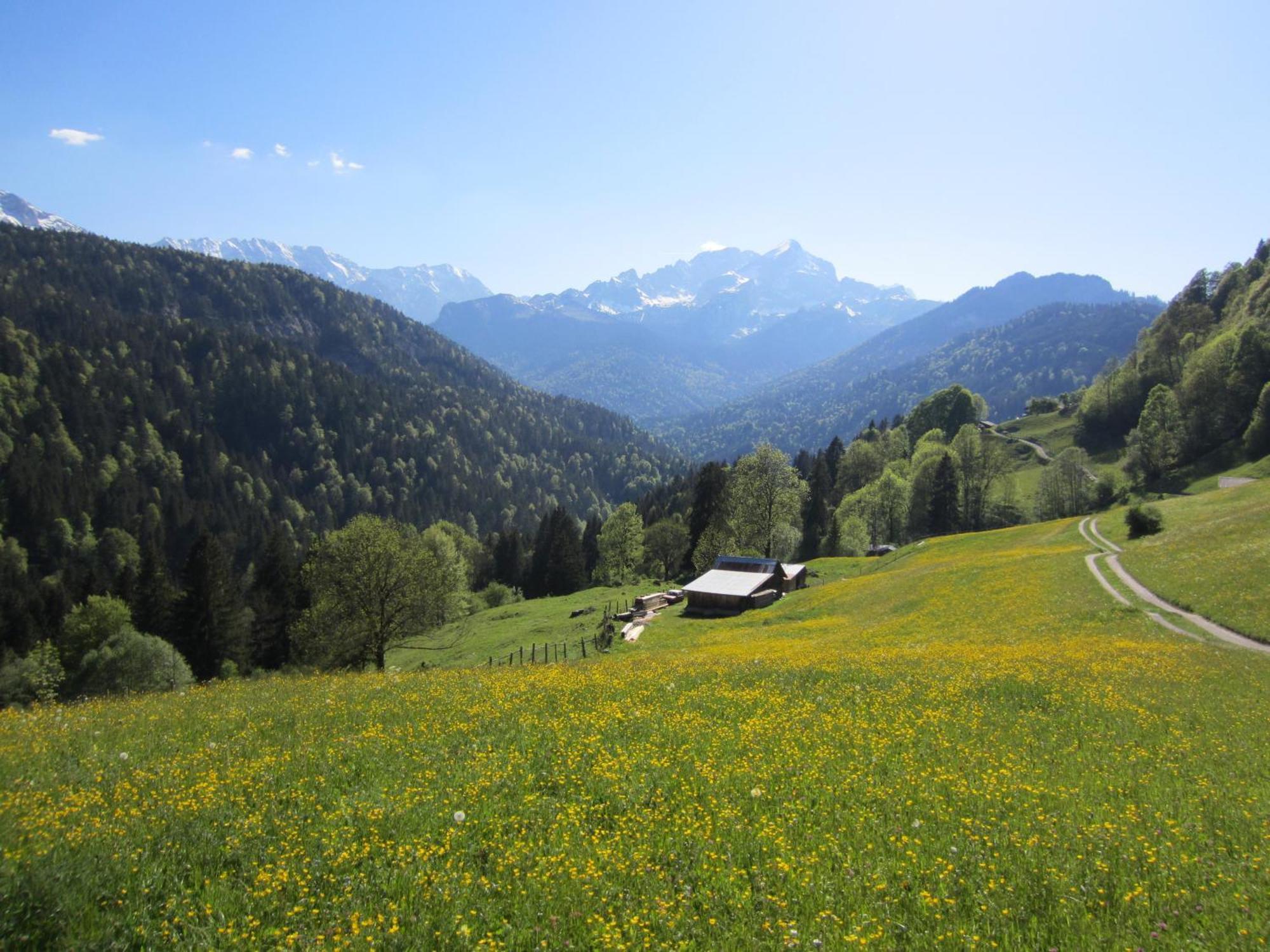 Hotel Vier Jahreszeiten Garmisch-Partenkirchen Exterior foto